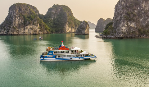 COZY BAY CRUISE