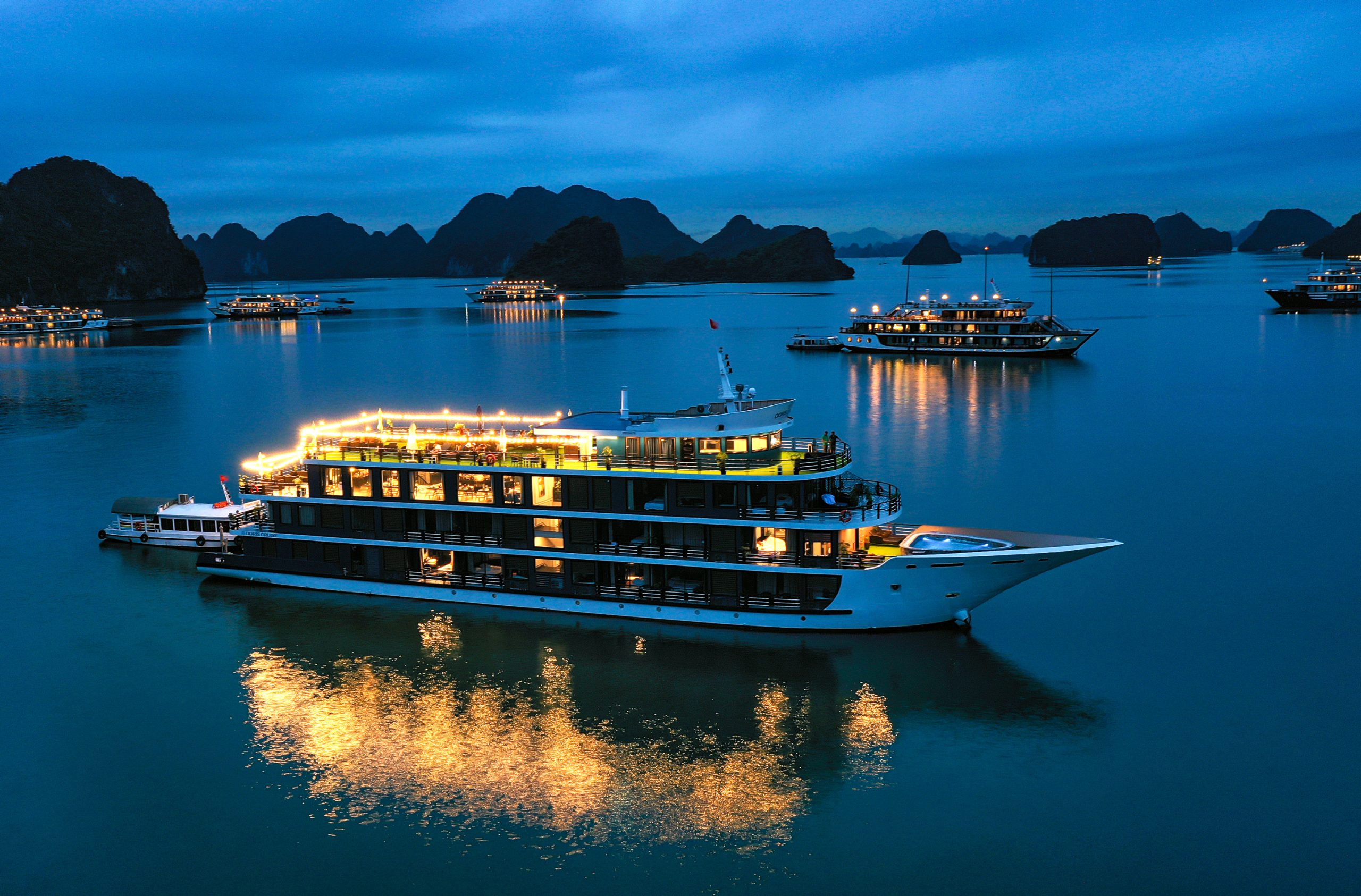 Cruises