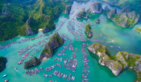 VENUS HALONG CRUISE 2N1D